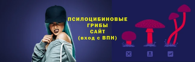 MESCALINE Гусев