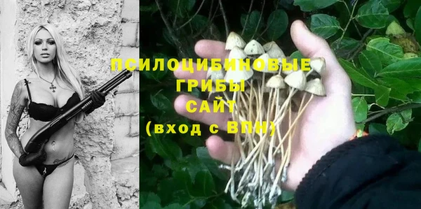 СК Горнозаводск