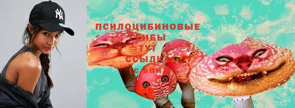 СК Горнозаводск