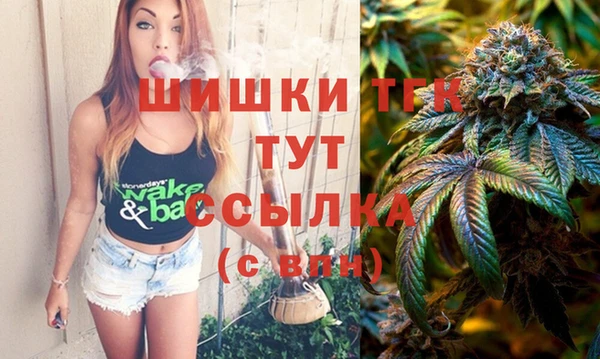 apvp Гусиноозёрск
